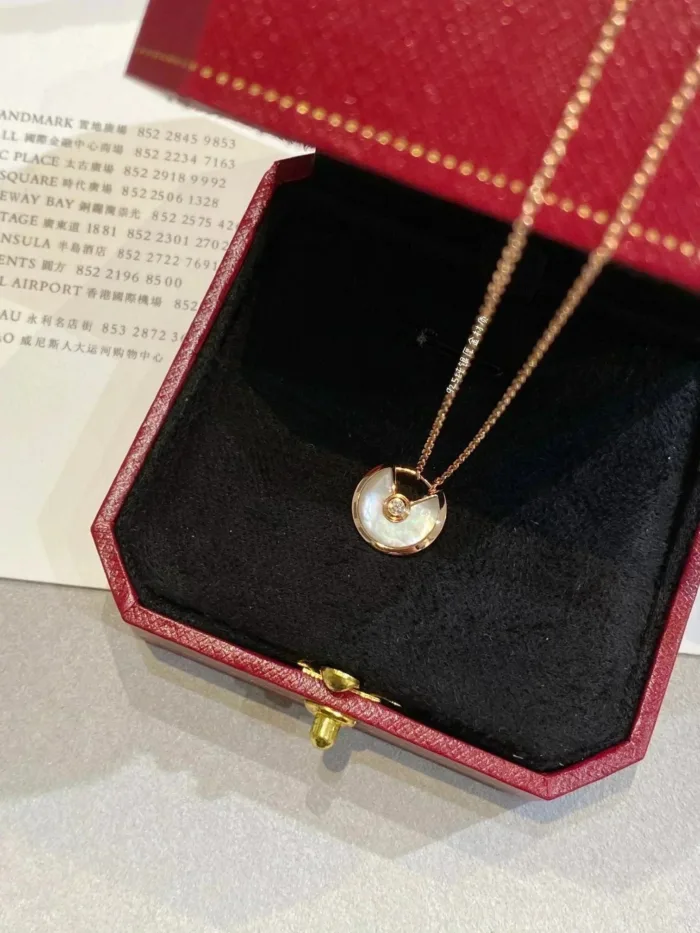 【Valleron Jewelry】AMULETTE ROSE GOLD MOP NECKLACE - Image 5